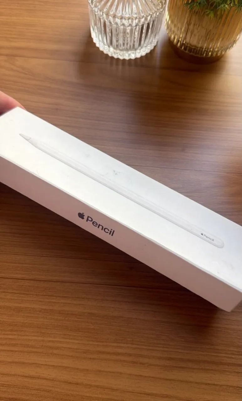 Apple Pencil 2ª Geração Original - Excelente Estado com Caixa