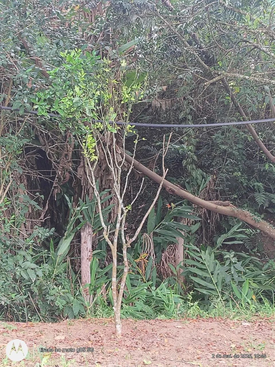 Venda ou permuta  - Foto 3