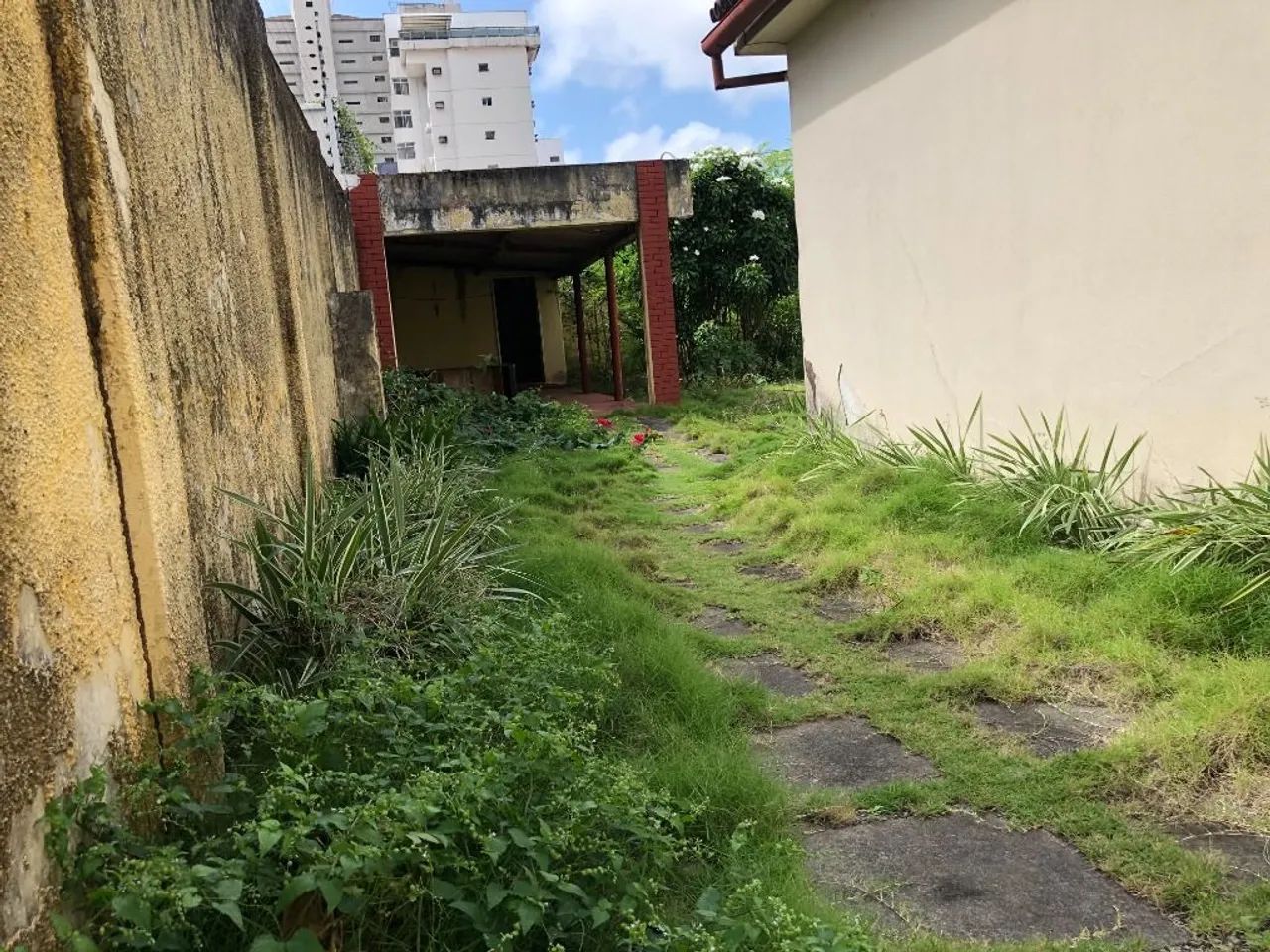 590,40m², Próximo ao Shopping Del Paseo - Foto 5