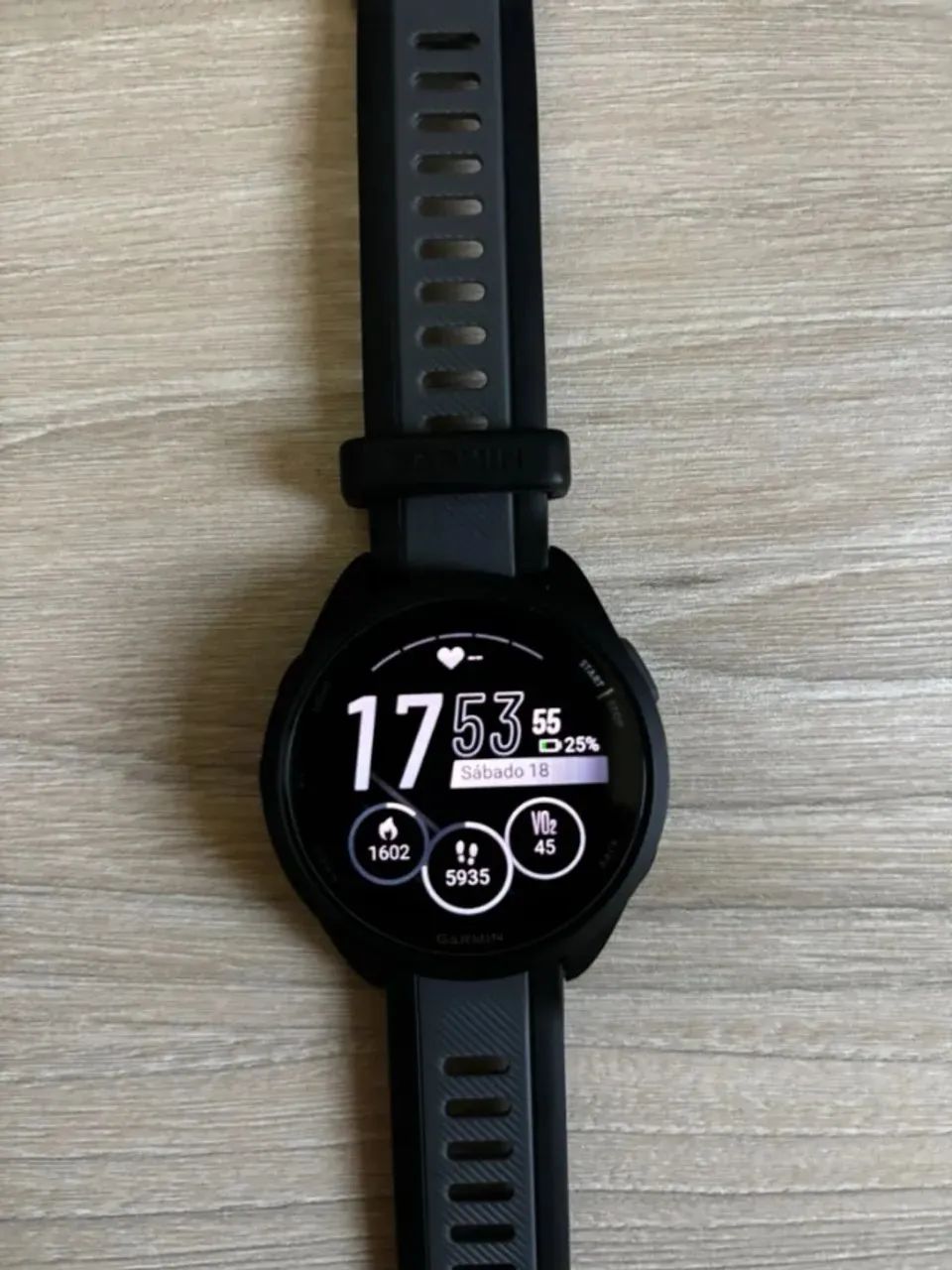 GARMIN 165