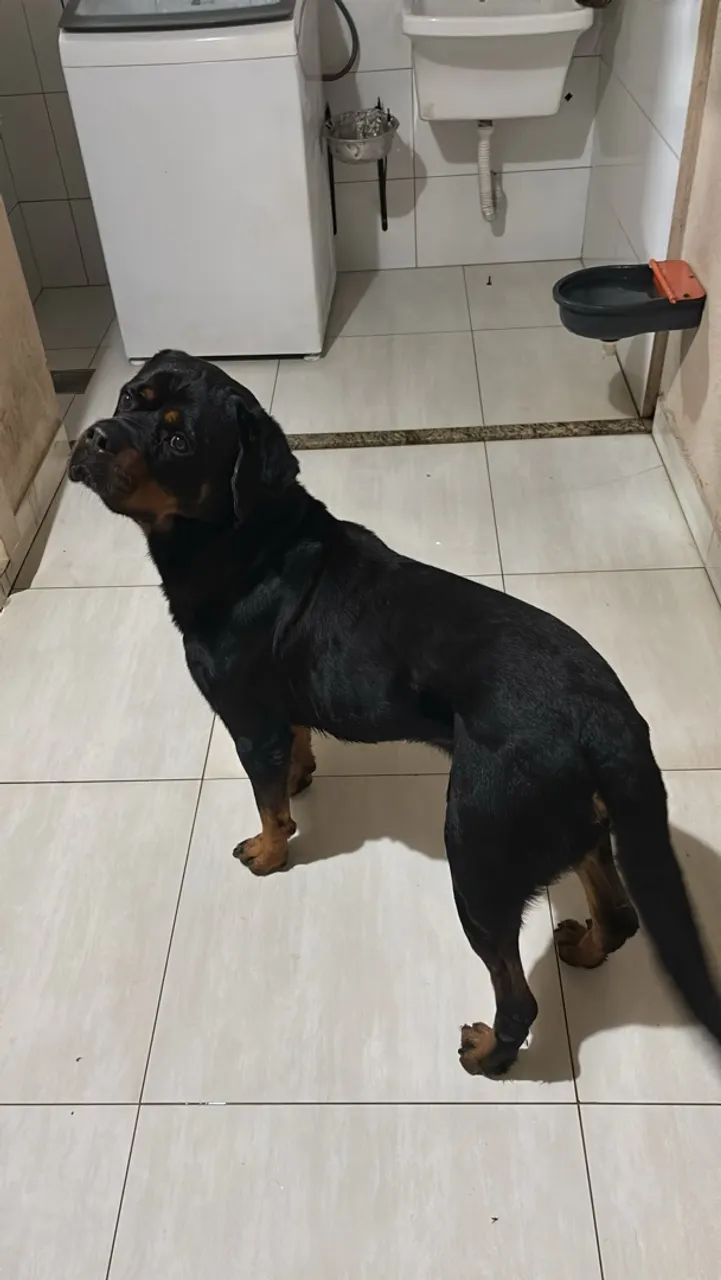 Doação - Foto 4