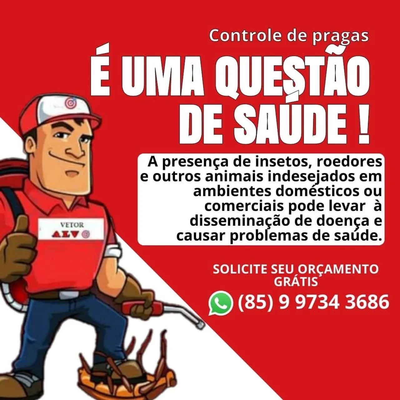Dedetização - Dedetização 