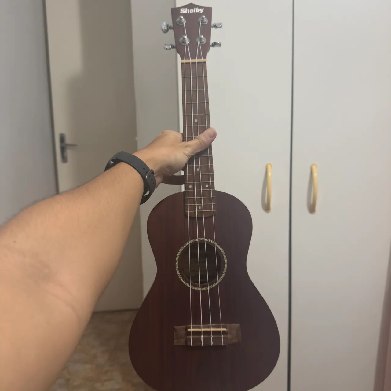Ukulele Shelby