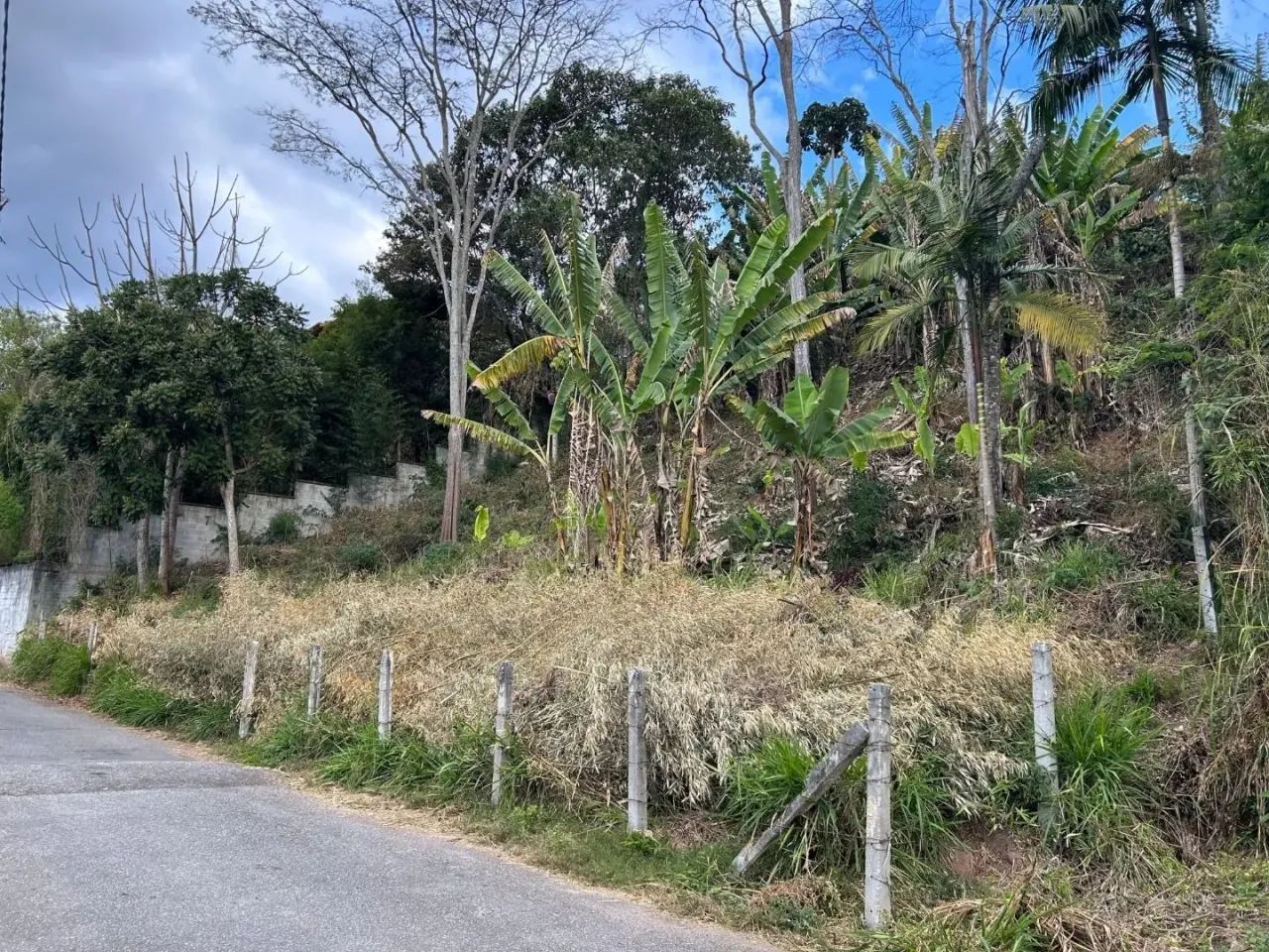 Terreno amplo à venda, 720 m² - Foto 3