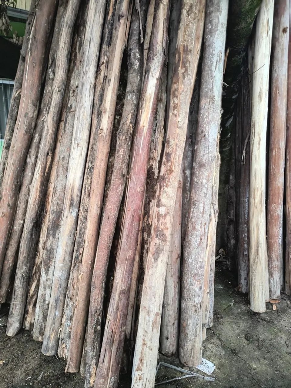 Escoras de eucalipto - Foto 3