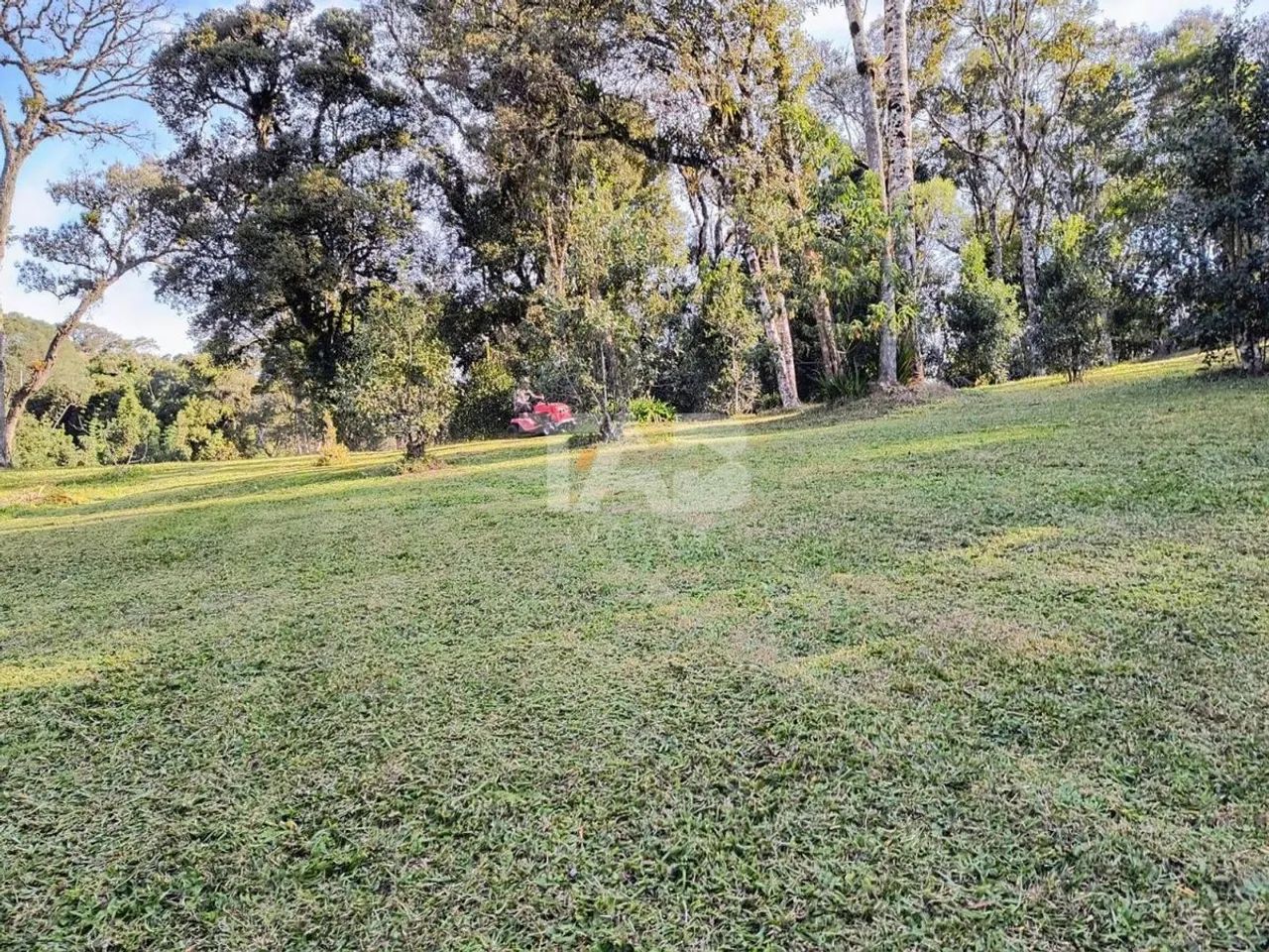 Chacará com 10.800m² para venda em campo Alegre - Foto 5