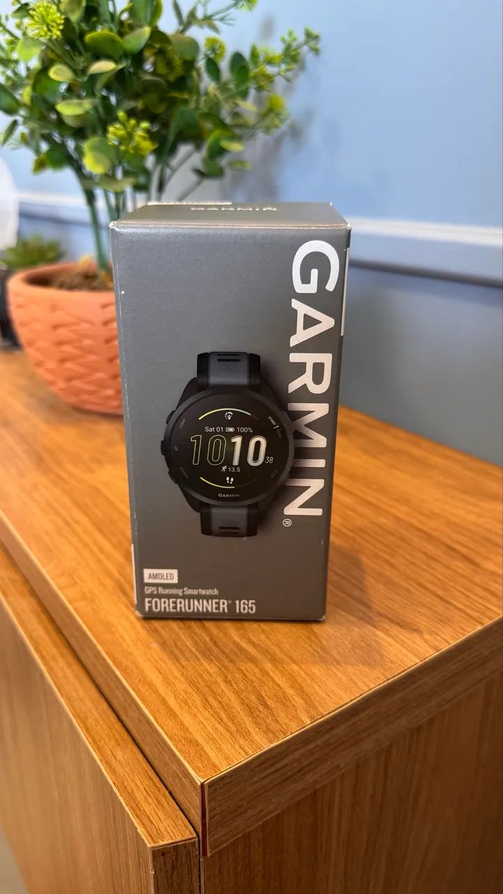 Garmin 165