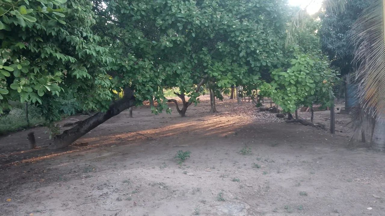 TERRENO A VENDA SOLEDADE - Foto 5