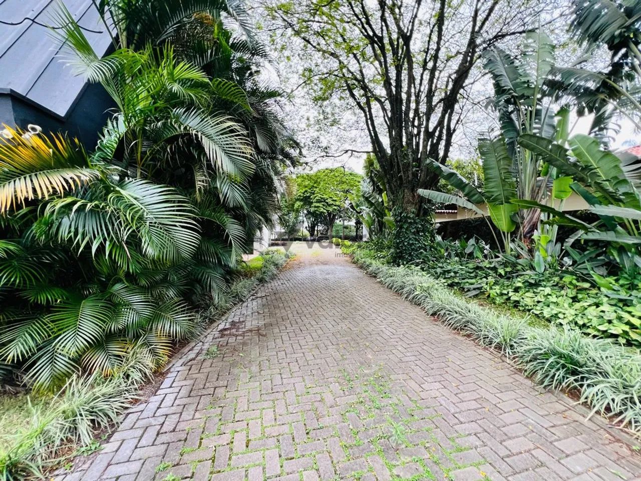 Casa para alugar em Campinas, Parque Taquaral, com 14 quartos, com 600 m² - Foto 5