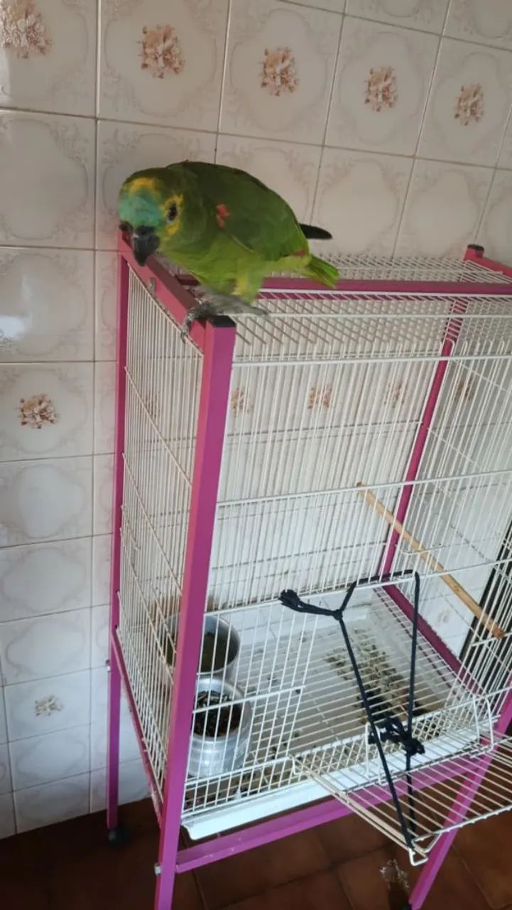 Vendo 1500