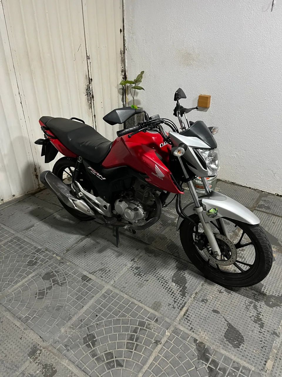 Fan 2021 - Foto 2