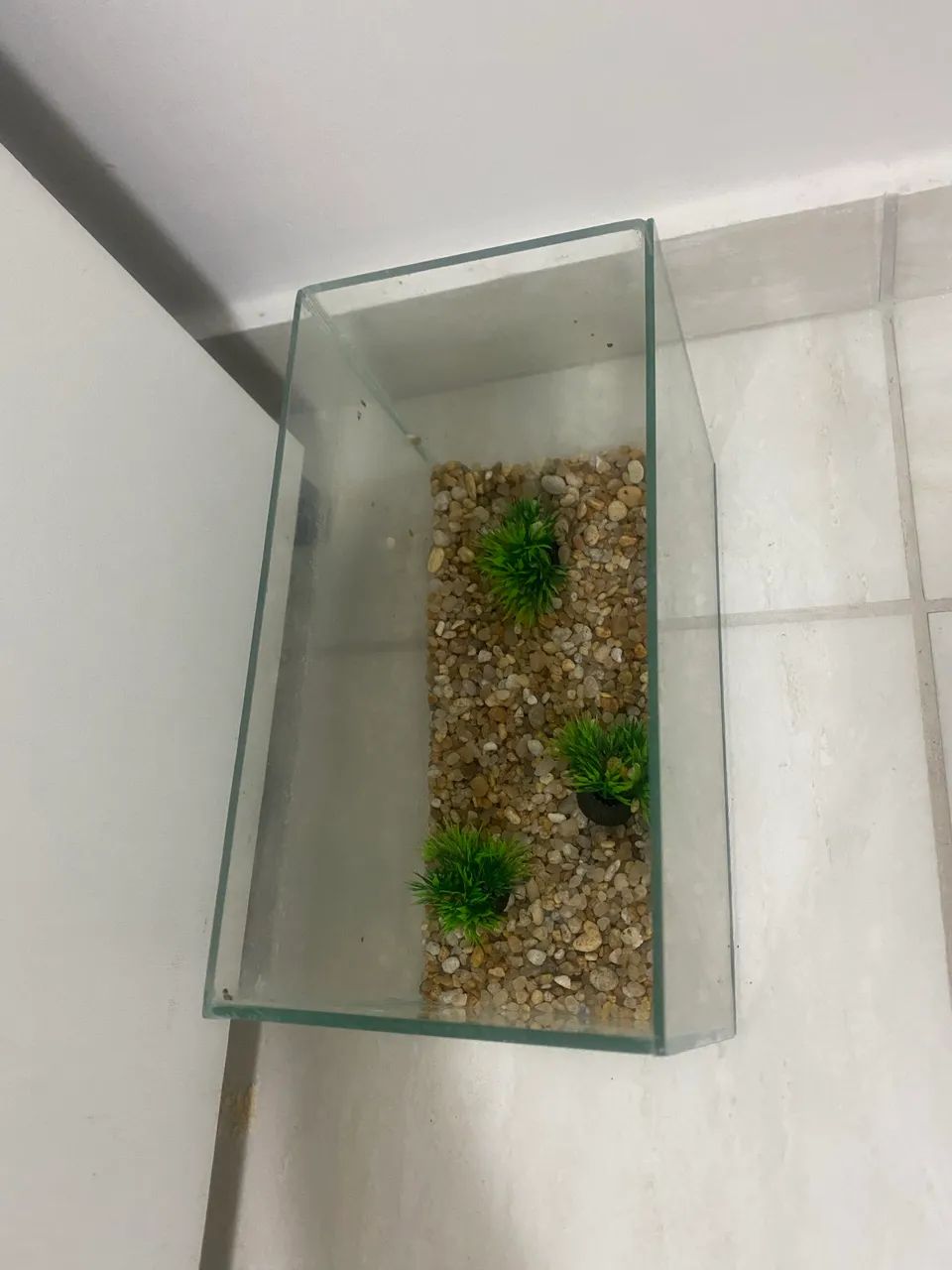 AQUARIO - Foto 3