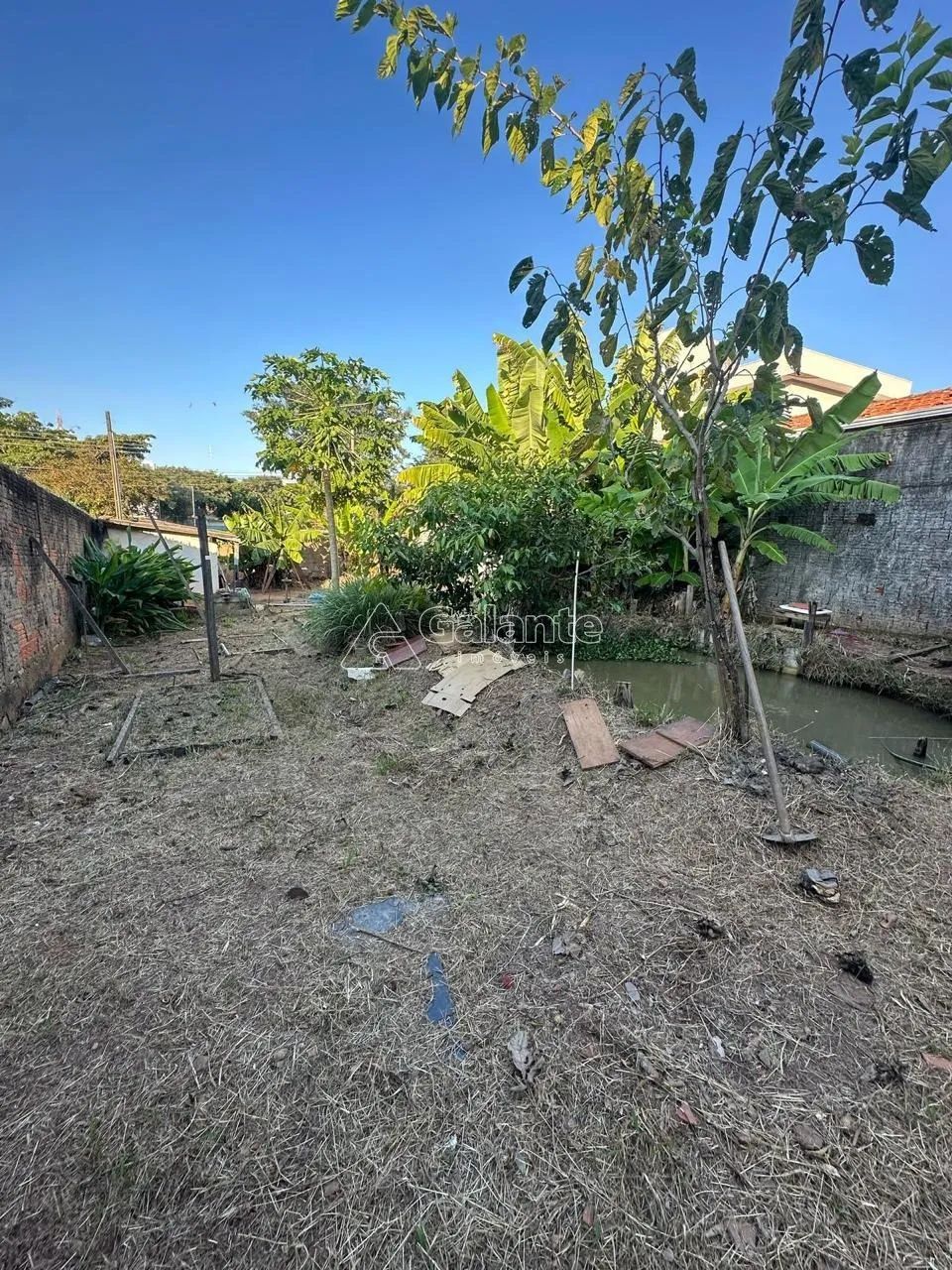 terreno - Jardim dos Oliveiras - Campinas - Foto 2