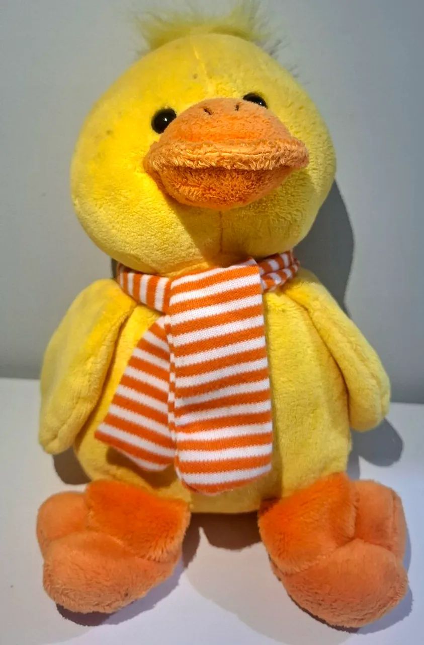 Pato de Pelúcia ..