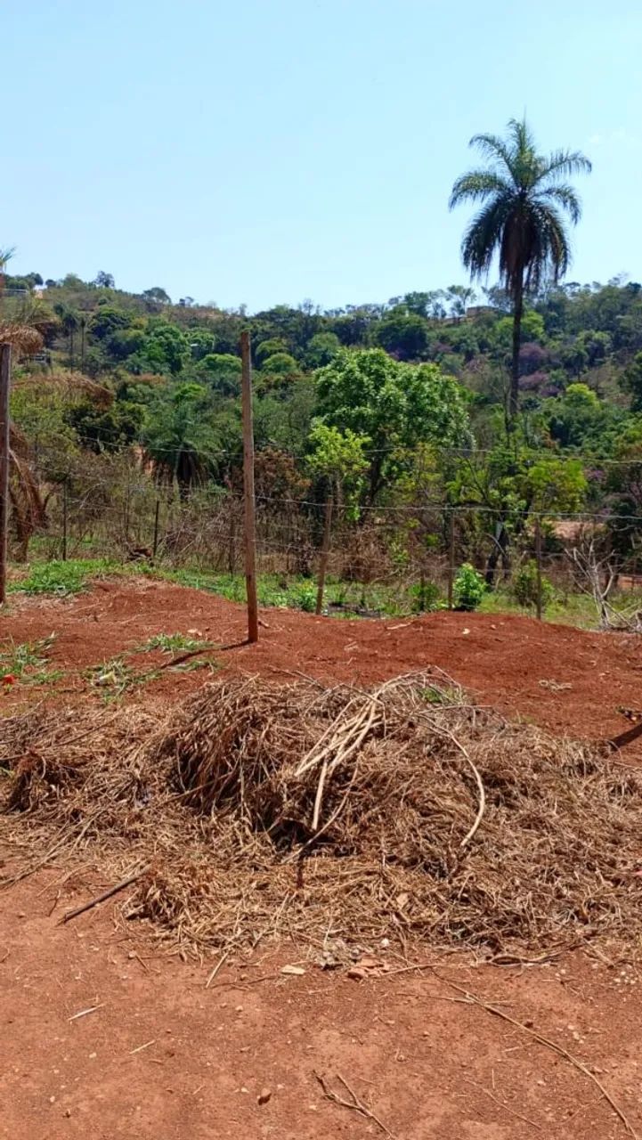 Lotes em mateus leme  - Foto 3