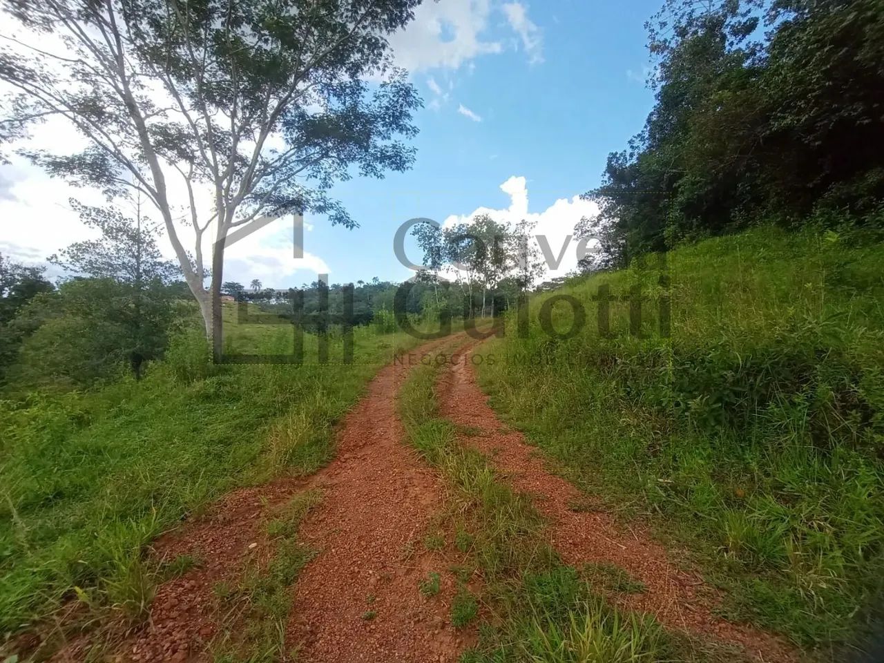 Chácara - Rural - Abadiânia - Foto 3