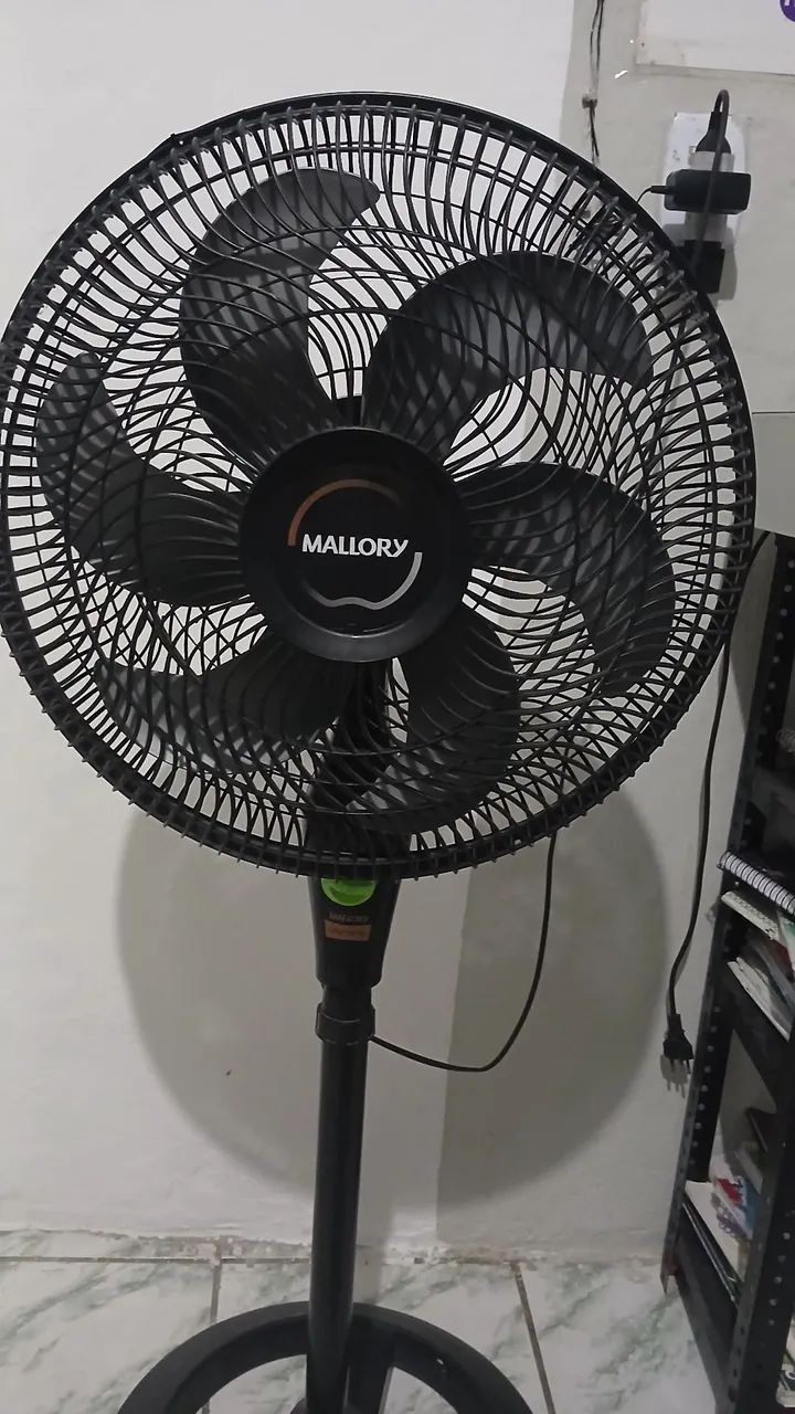 Mallory de coluna  - Foto 2