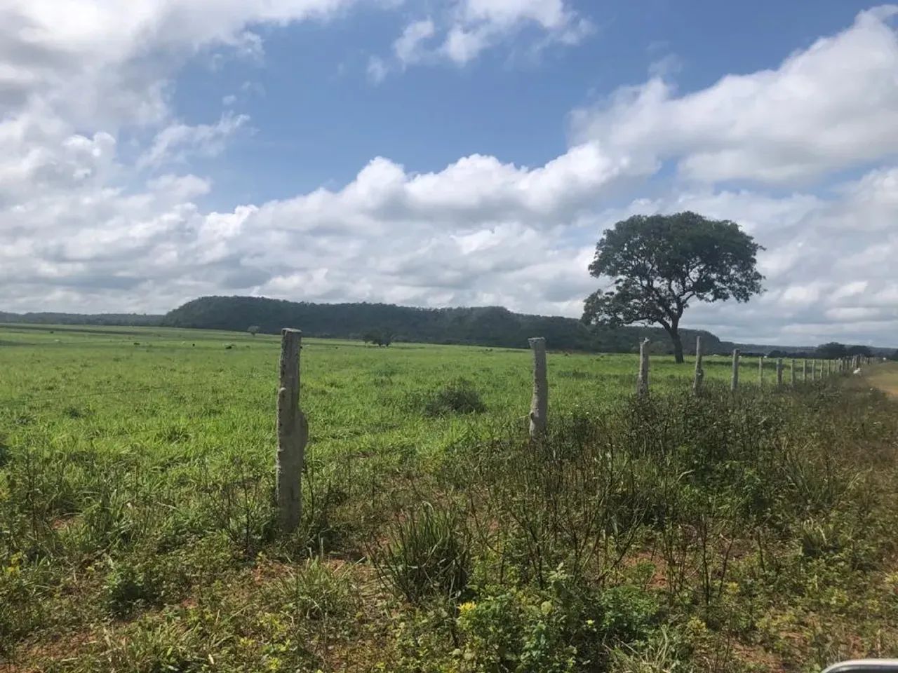 Fazenda a venda em Goiatins Tocantins!!! - Foto 5