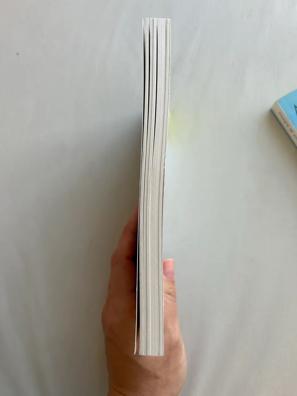 A mandíbula de Caim - Foto 2