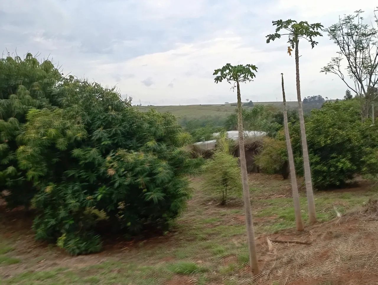 Chácara em Dirceu  - Foto 4