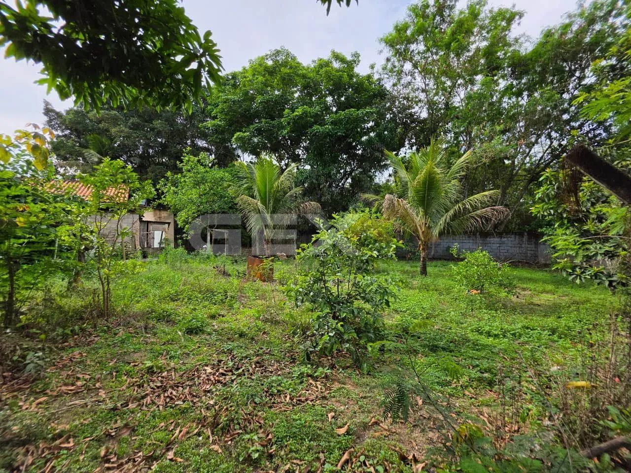 Chácara à Venda com 2.634m² na Comunidade Ferrador em Divinópolis MG. - Foto 5