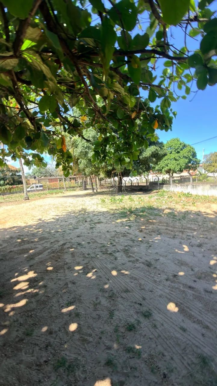 Vendo chácara em povoado Areia Branca, Mosqueiro  - Foto 3