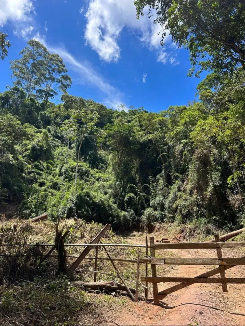 ÁREA RURAL - NOVA FRIBURGO - Foto 4