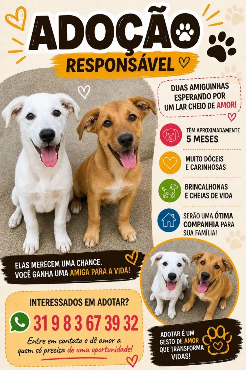 Doação 