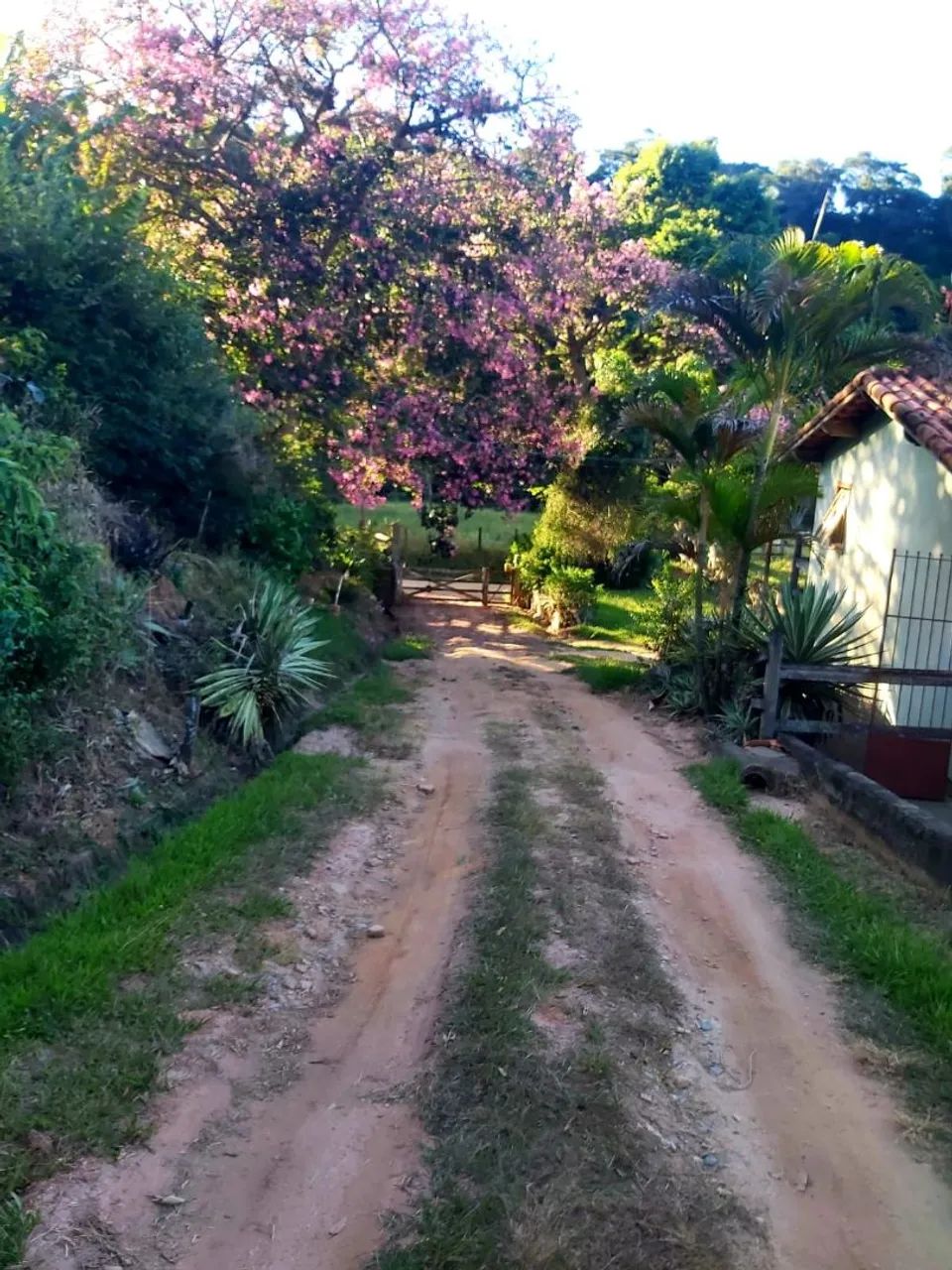 Vendo  a 3Km da cidade de  Paty do Alferes  - Foto 2