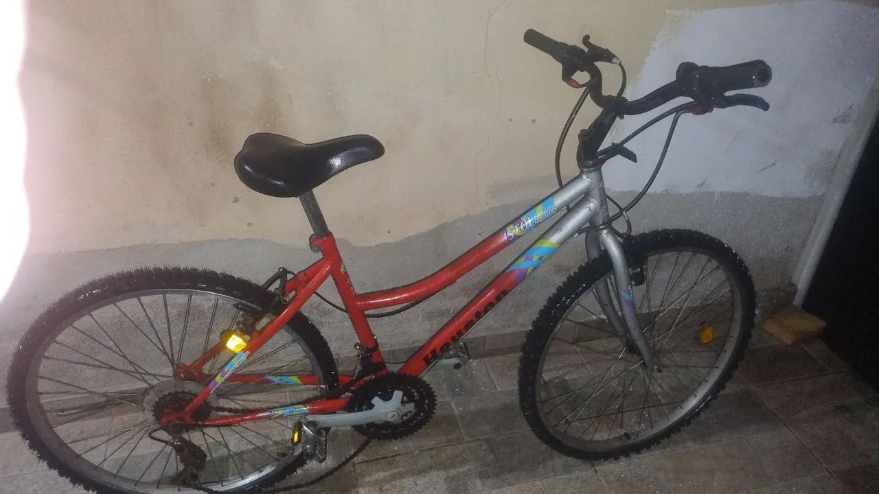 Bicicleta 
