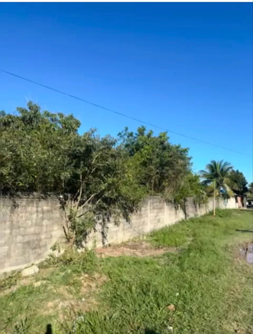 Foto - Guapimirim - 