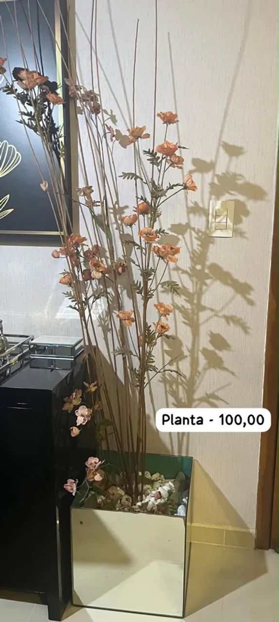 Planta 