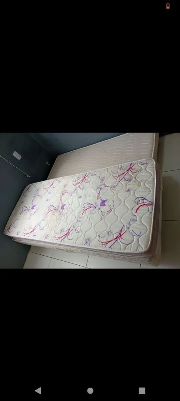 BICAMA  - Foto 3