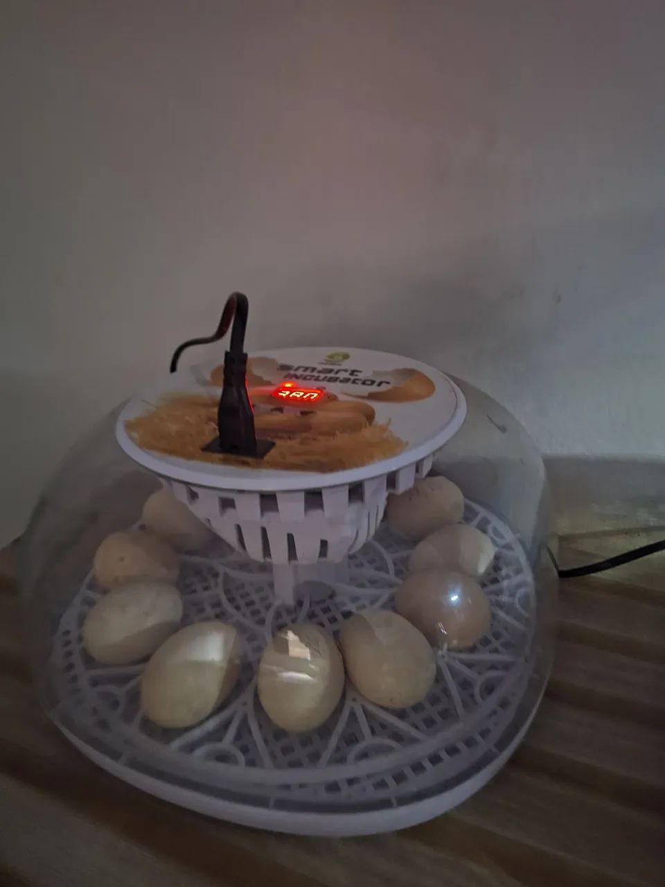 Chocadeira automática para 12 ovos  - Foto 2