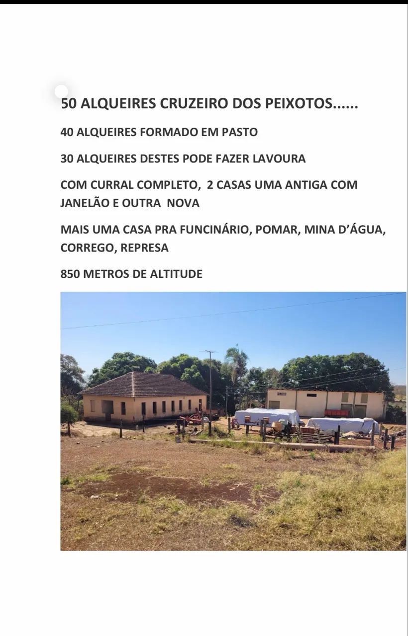 Fazenda em Uberlândia com altitude pra café  - Foto 5