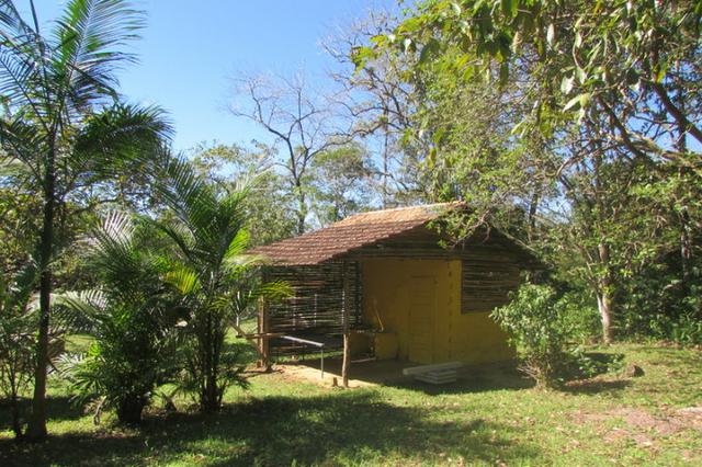 Lindo sítio em Morretes ideal para exploração com turismo - Foto 19