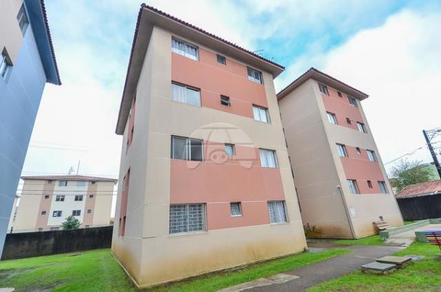 Apartamento à venda com 2 dormitórios em Sítio cercado, Curitiba cod:148809 - Foto 2
