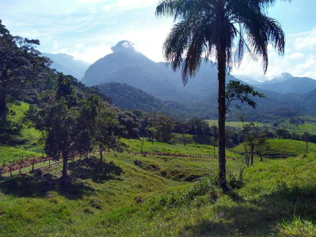 Belíssima fazendinha em Guapimirim oportunidade!!! - Foto 20