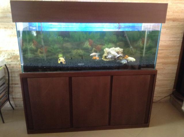 Vendo ou Troco Aquário Completo 450 litros. não tenho espaço para o aquário. - Foto 5