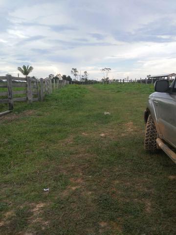 Vendesse um colônia estrada de porto acre ramal pira pora 28 km de ramal