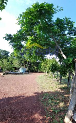 Chácara a 28km sentido Palmas X Aparecida do Rio Negro, confira!!! - Foto 7