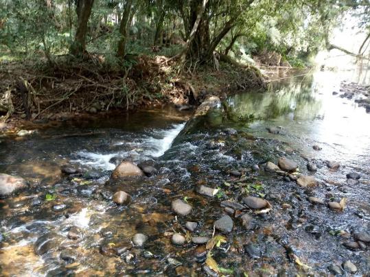 Chácara - Prox Centro - Morretes - Foto 12