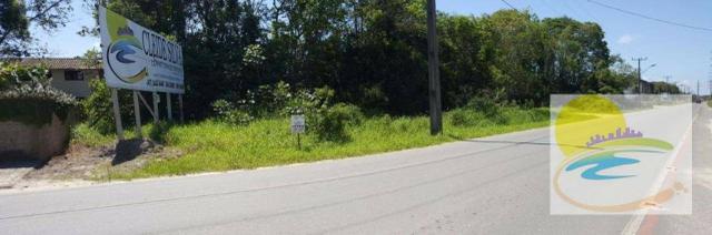 Terreno comercial na Zilda Arns em Itapoá-SC TE0335 - Foto 2