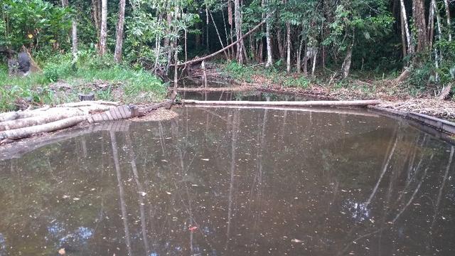 50 hectares a 25 km de castanhal por 250 mil zap * - Foto 3