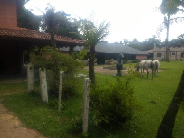 Fazenda em Tijucas do Sul -PR - Foto 8