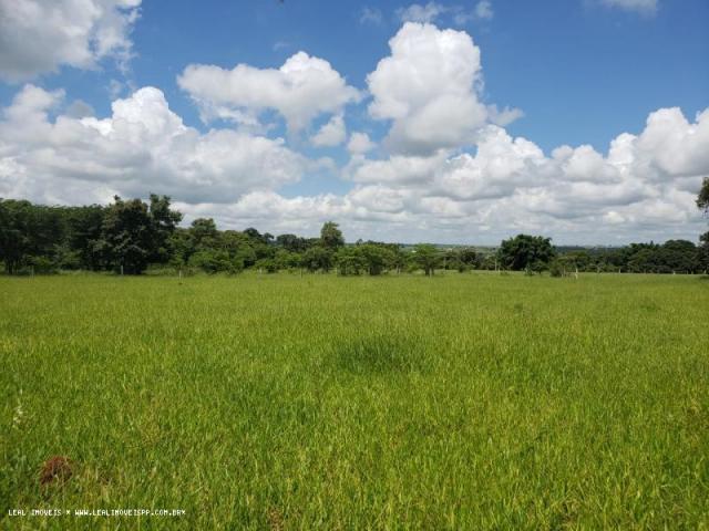 Sítio para venda em martinópolis, represa de martinopolis
