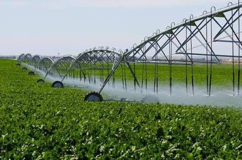350.000.000      Fazenda 417 alqueires para lavoura em Ipameri-Go