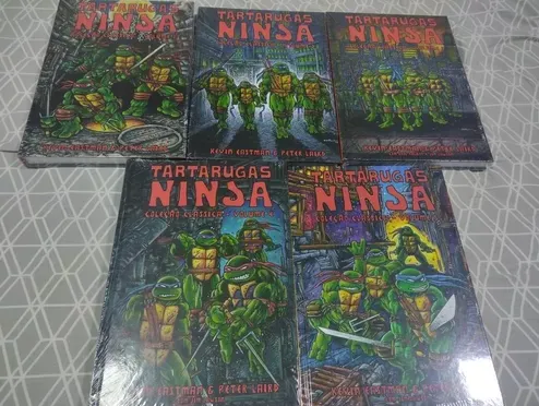 DVD As tartarugas Ninja O Destruidor - TMNT desenho animado Nickelodeon -  DONATELLO edição