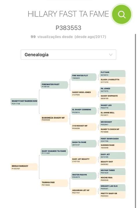 Potra  Quarto de Milha PO registrada  - Foto 6