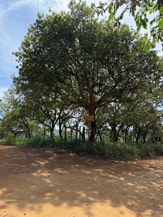 Sítio a venda 2 hectares  - Foto 5